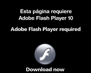 Adobe Flash Player required